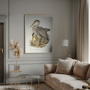 Great Grey Heron Poster