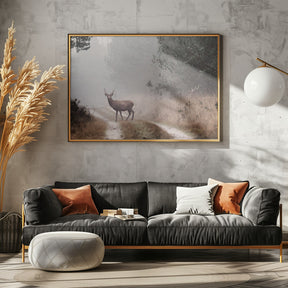 Deer Poster