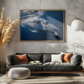 The Whale Poster