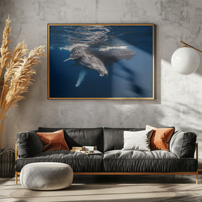 Humpback Whale family! Poster