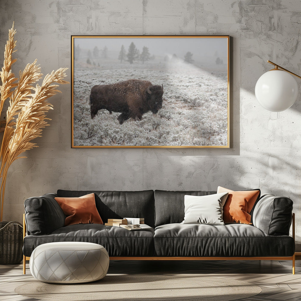 Late Fall Yellowstone Poster