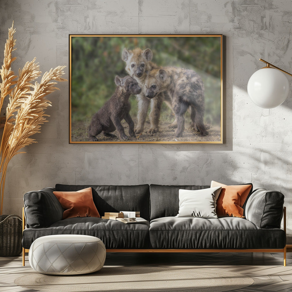 Baby Hyena Poster