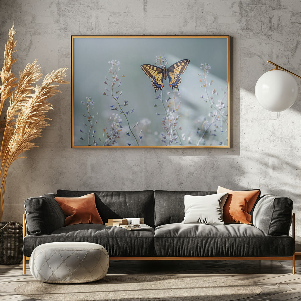 Swallowtail beauty Poster