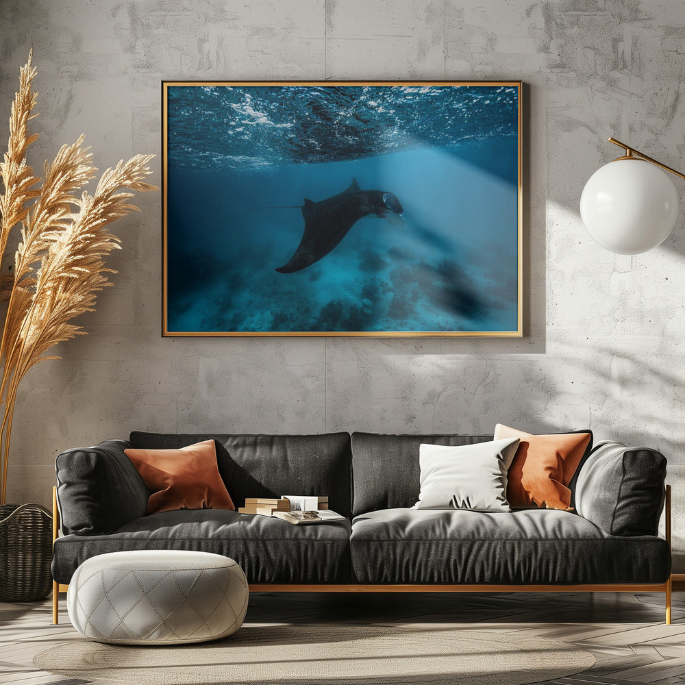 Manta Ray Poster