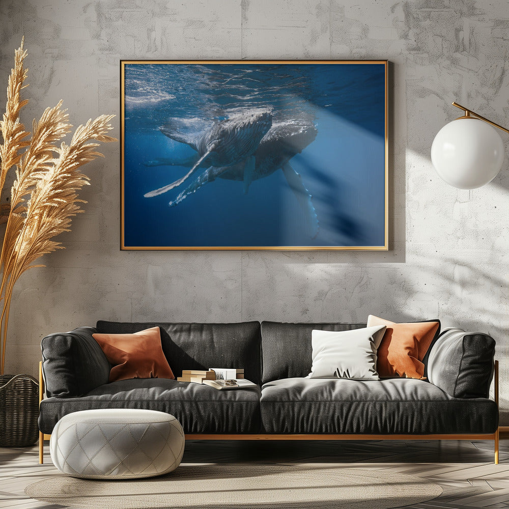 Humpback whale Poster