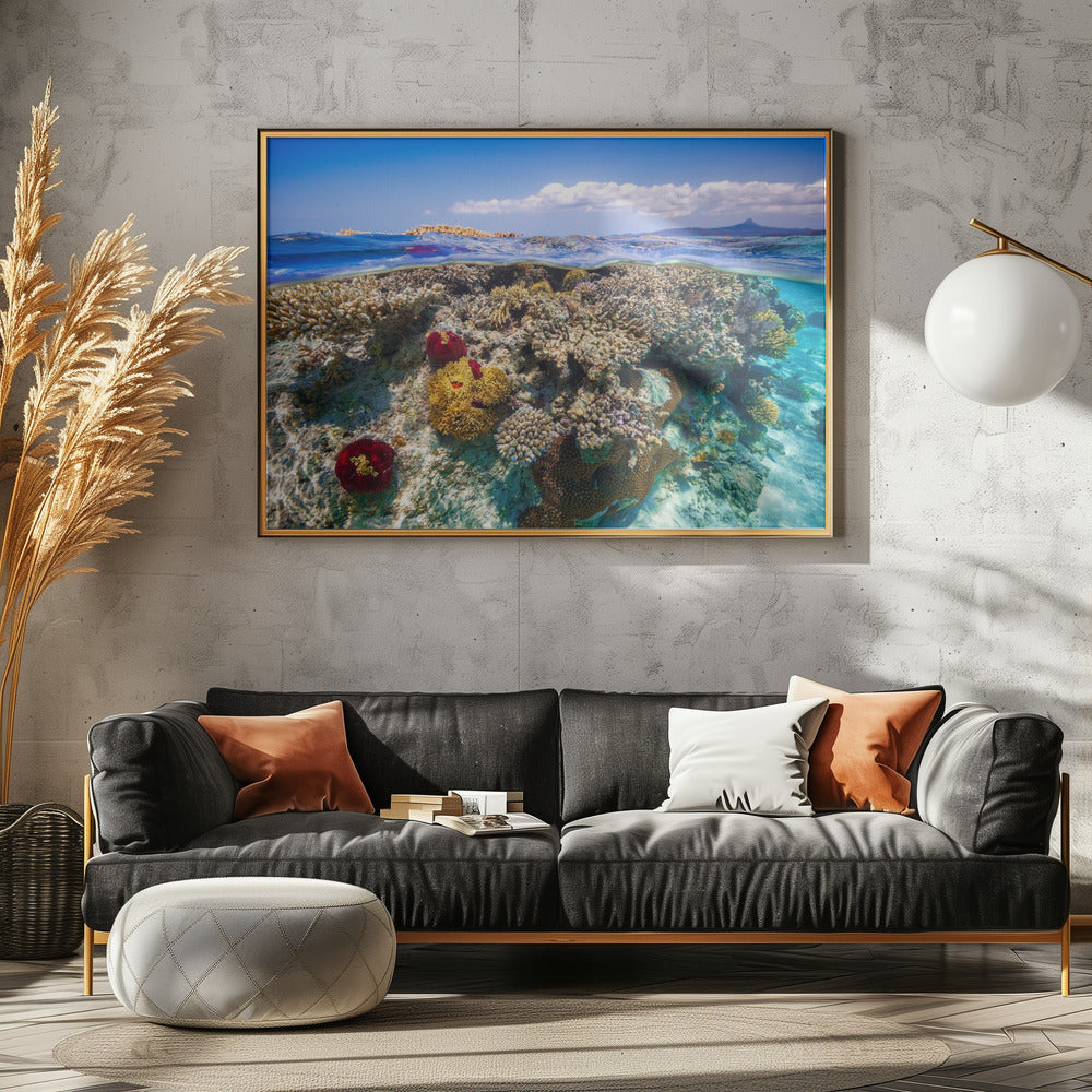 Mayotte : The Reef Poster