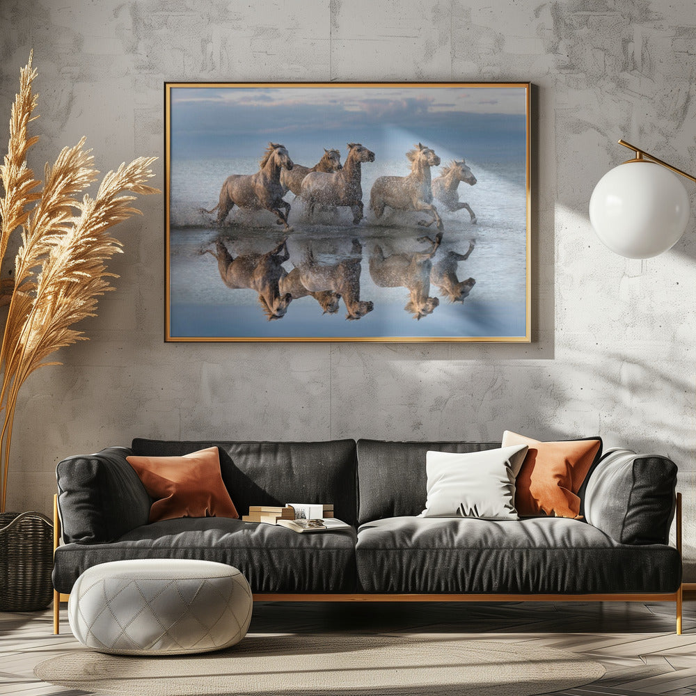 Horses and reflection Poster