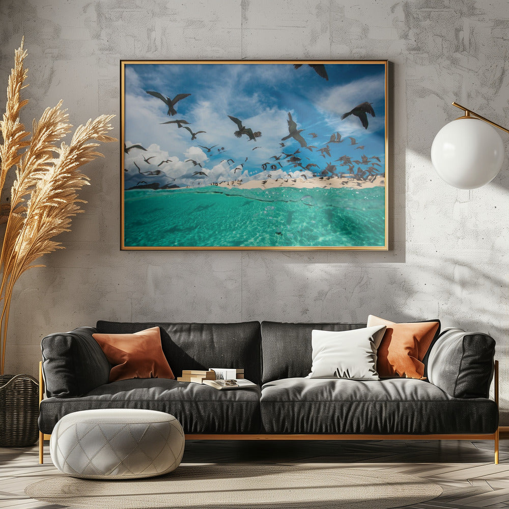 Ocean bird Poster