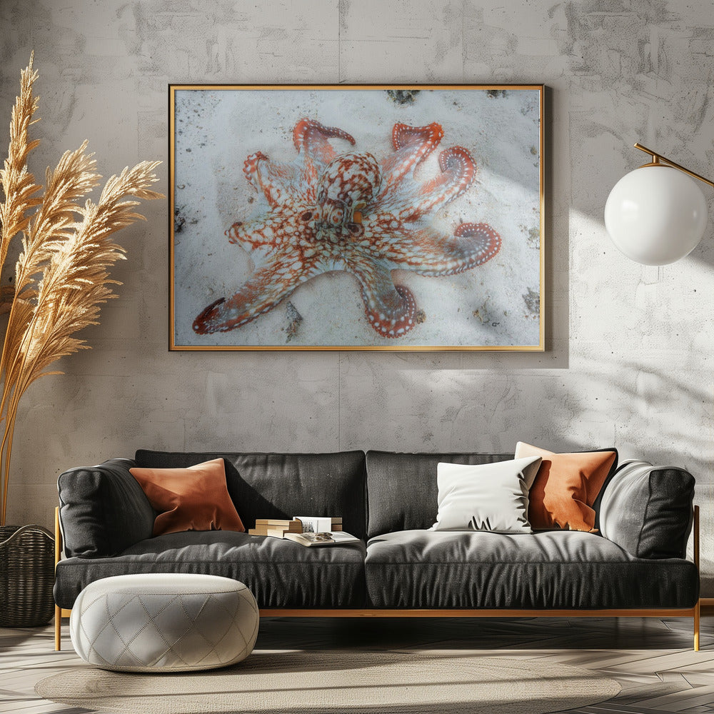 Octopus Poster