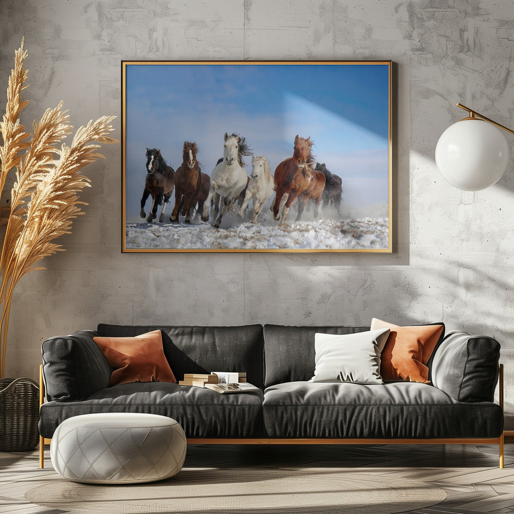 Mongolia Horses Poster