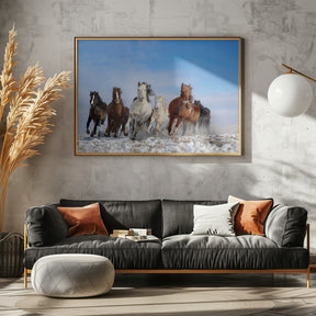 Mongolia Horses Poster