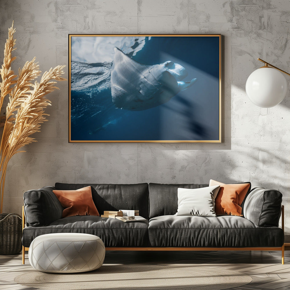 Flying Manta ray Poster