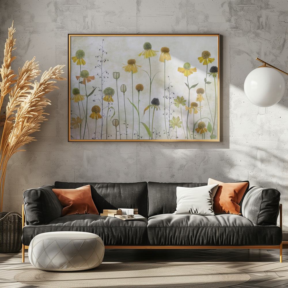 Helenium Poster