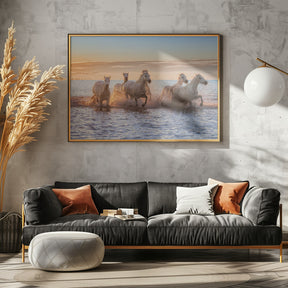 Camargue Horses II Poster