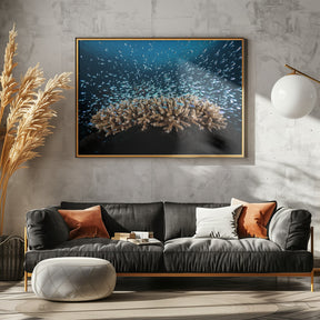 Underwater Life Poster