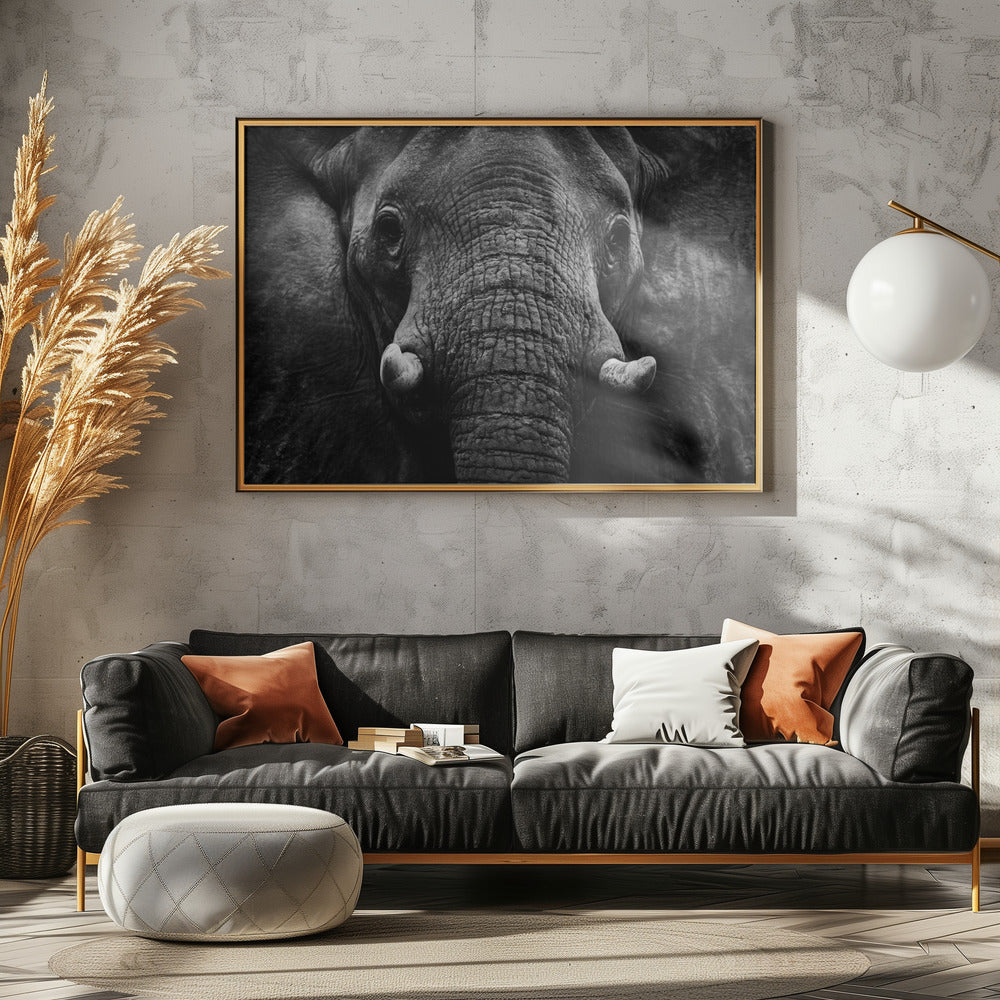 Elephant Poster