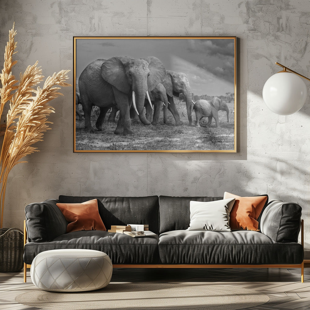 Elephants family Poster