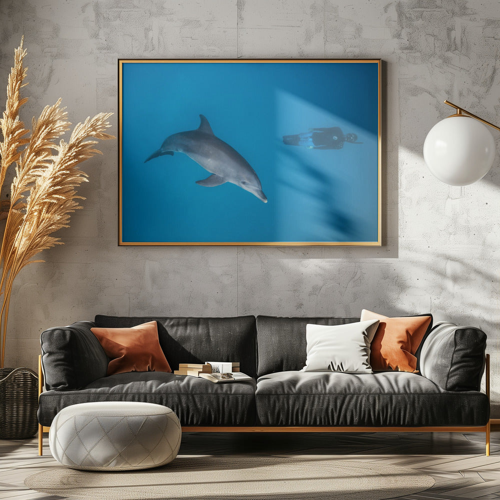 Dolphin and freediver Poster