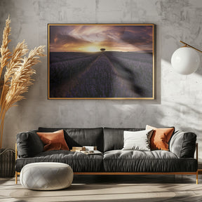 Lavender sunset Poster