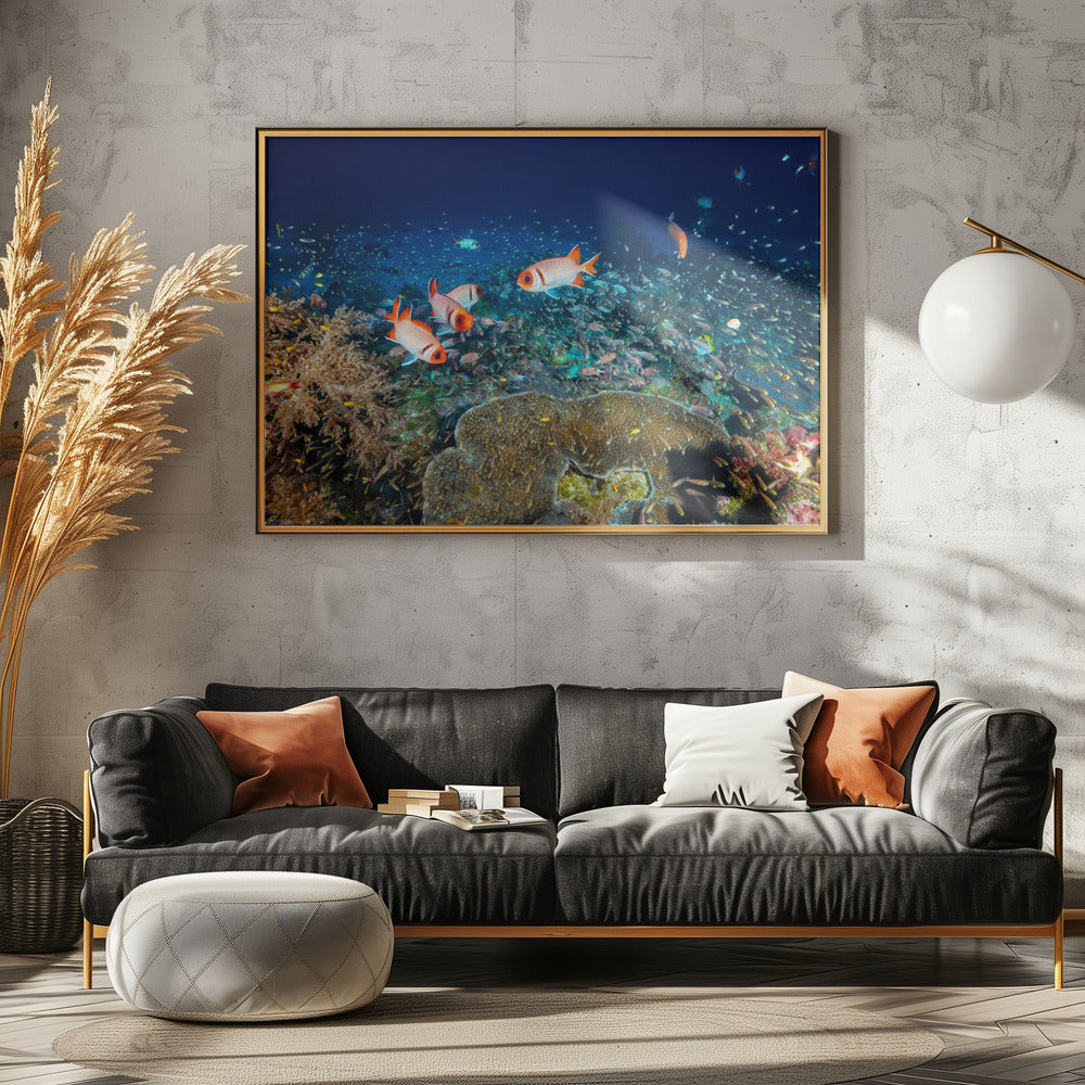 Reef life Poster