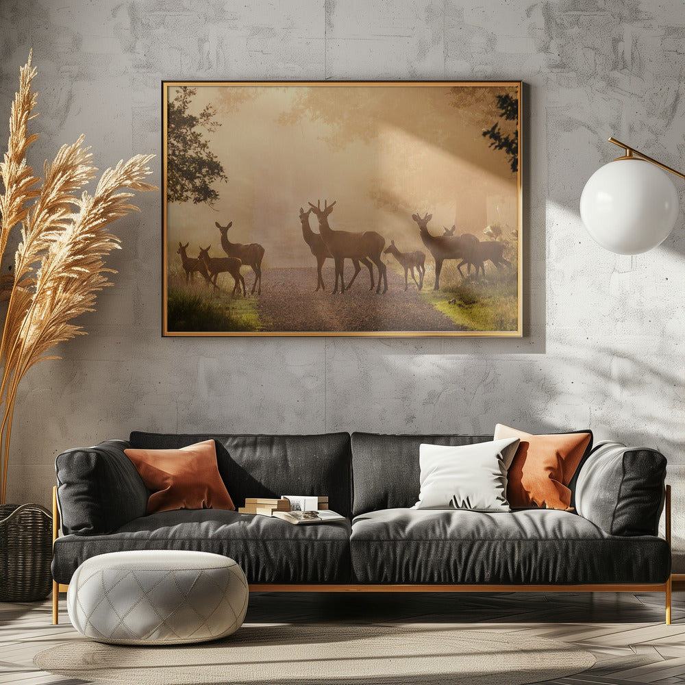 Deer on path Poster