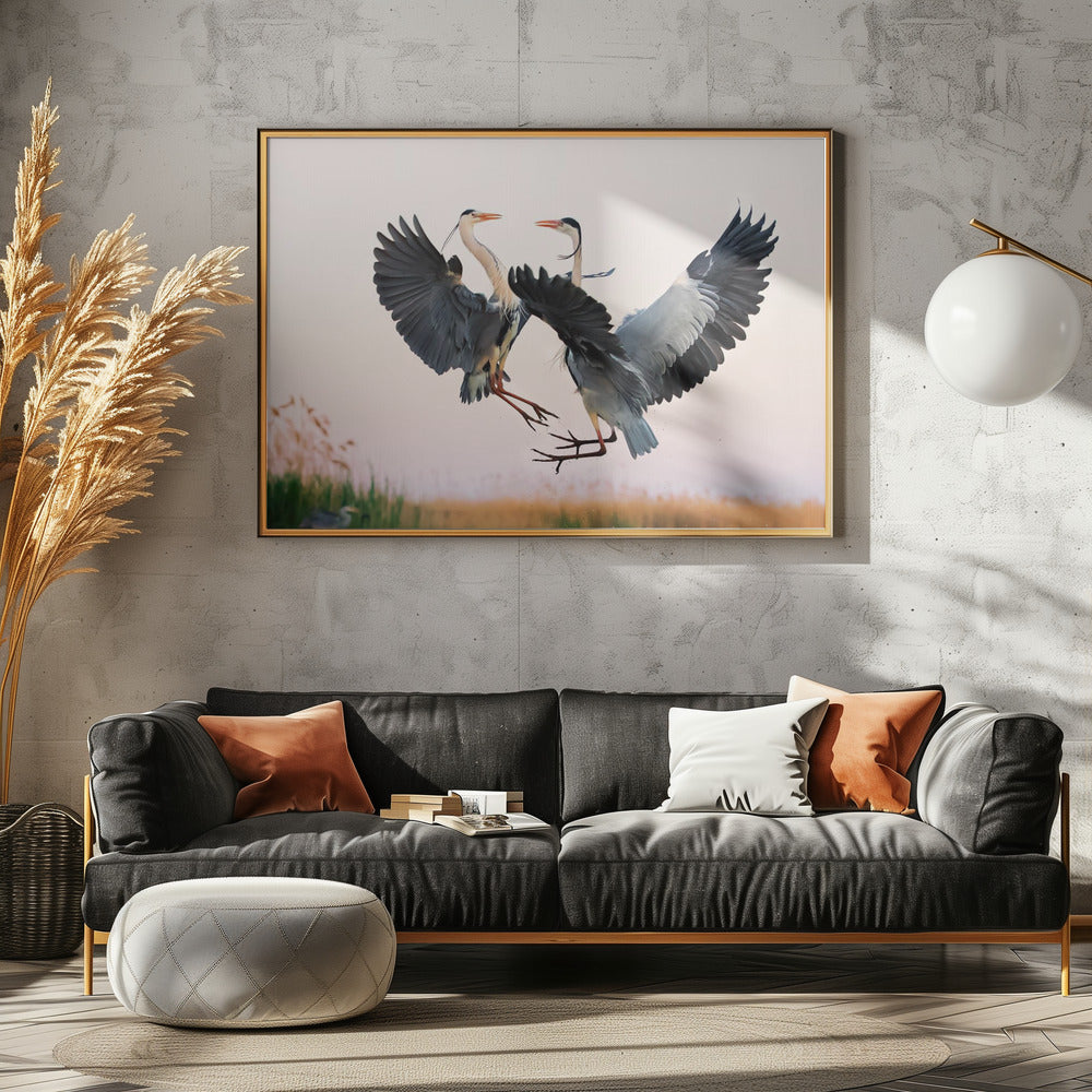 Heron Fighting Poster