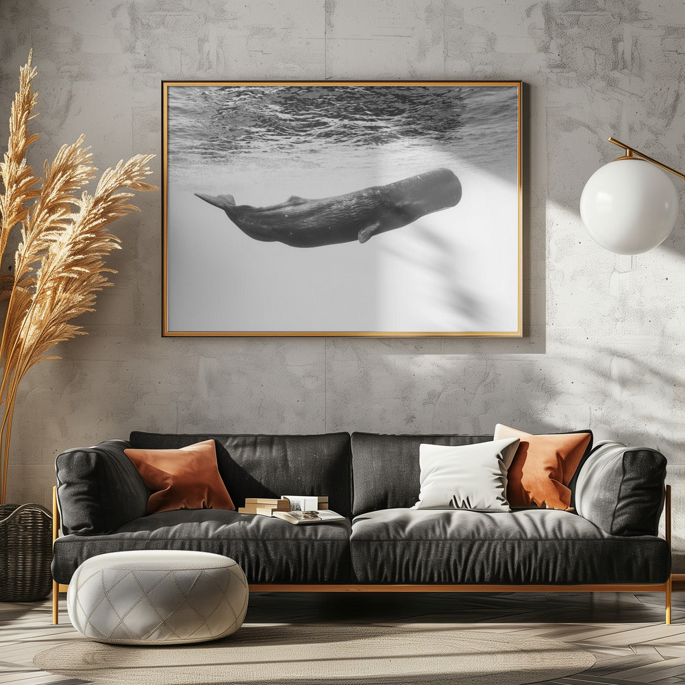 Sperm whale Poster