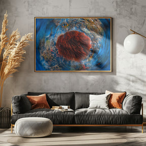 Red anemonfish Poster