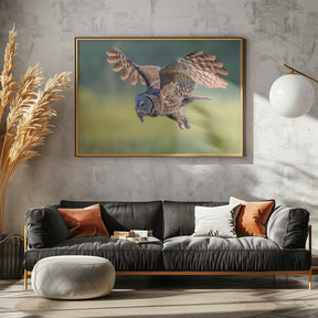 Great Grey Owl Poster