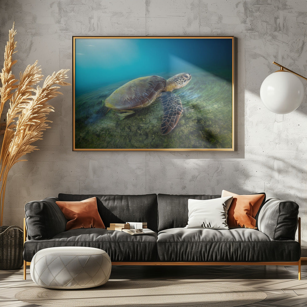 Green turtle Poster