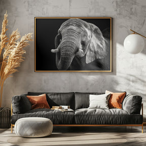 African Elephant Poster