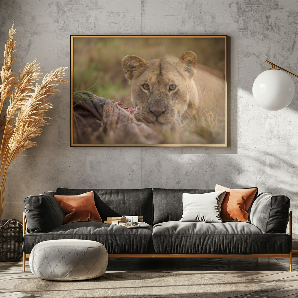 MARA LIONESS Poster