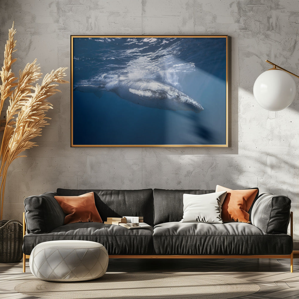 Humpback whale of Réunion Island Poster