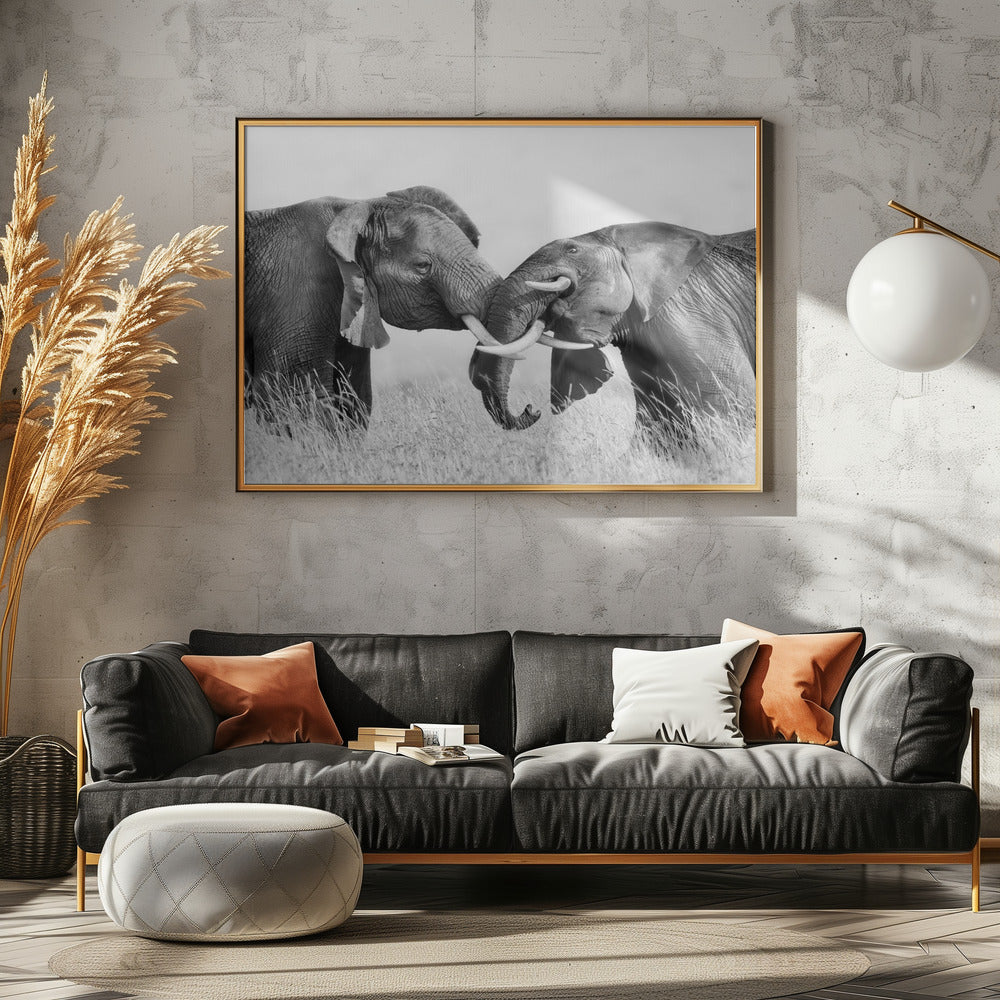 Elephant Fighting Poster