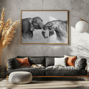 Elephant Fighting Poster