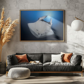 Océanic Manta Ray Poster