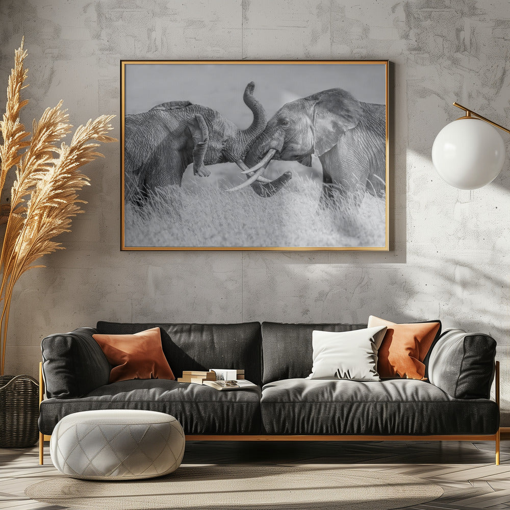 Elephant &quot;Tai Chi&quot; Poster