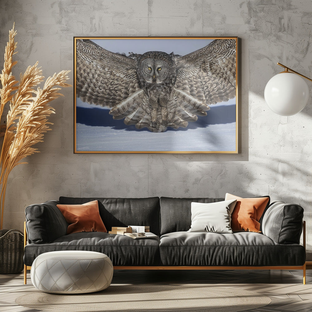 Great Grey Owl Poster