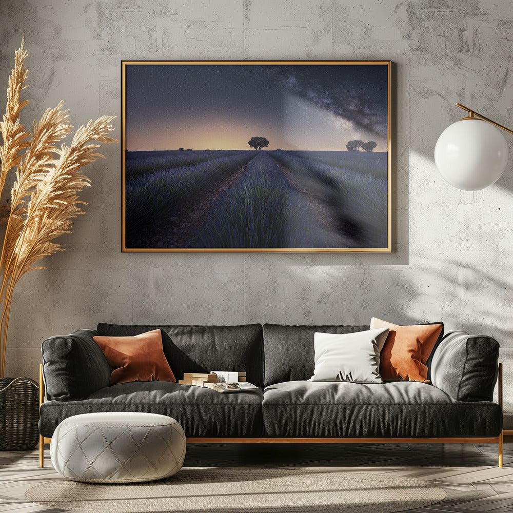 Lavender fields Poster