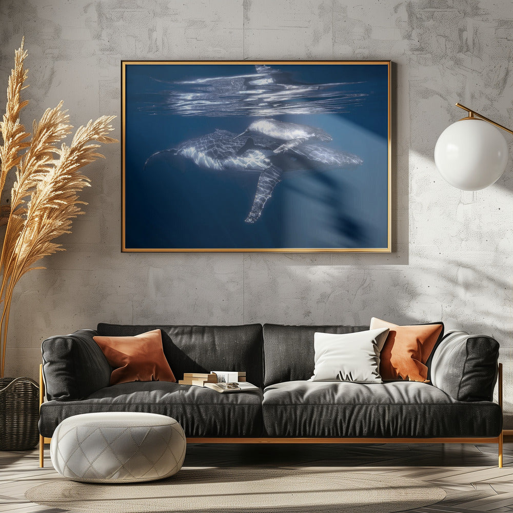 A humpback whale and its calf Poster