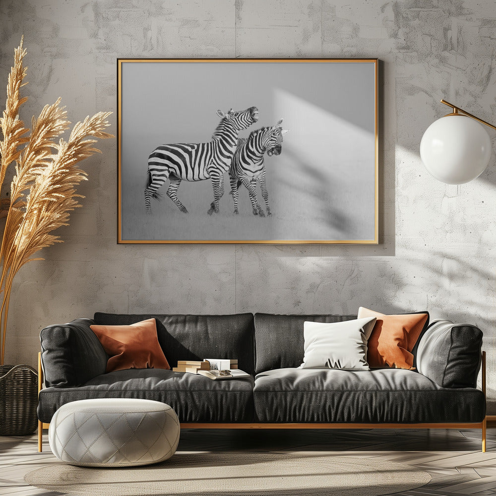 Zebras Poster