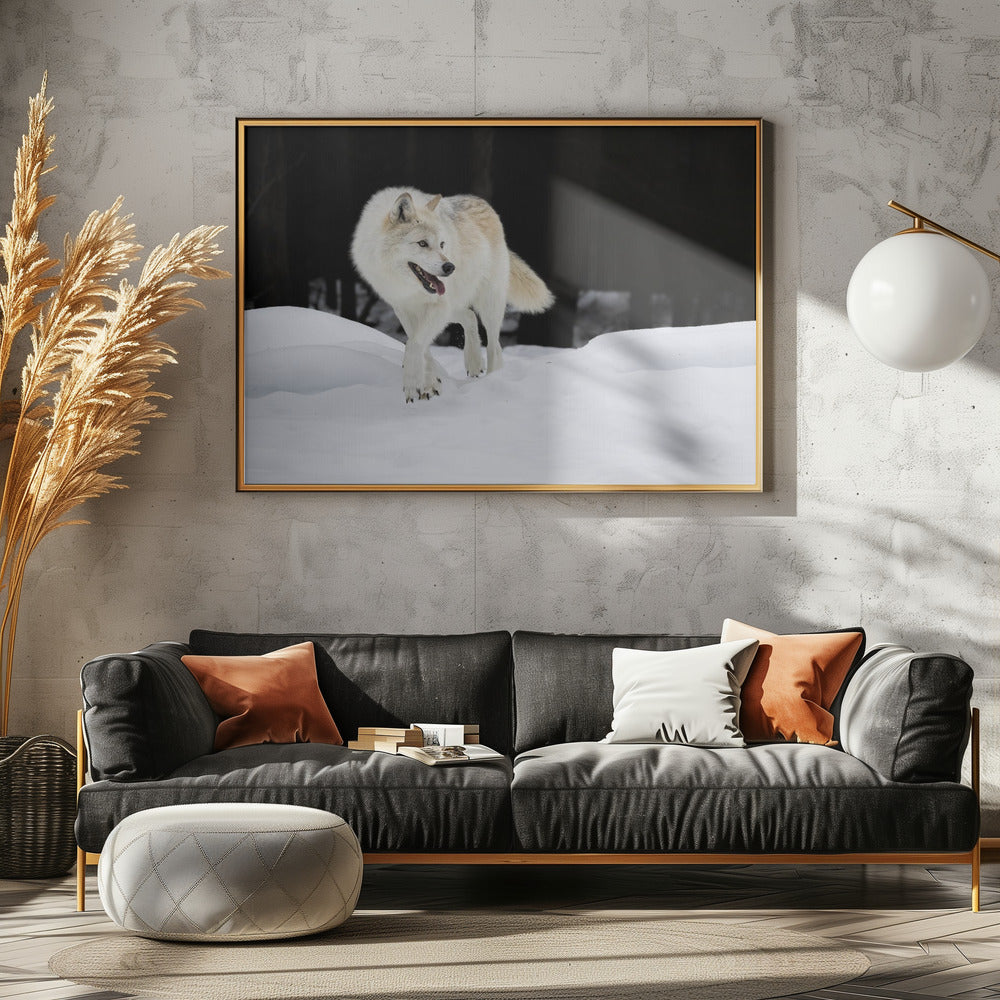 Out of The Dark Poster