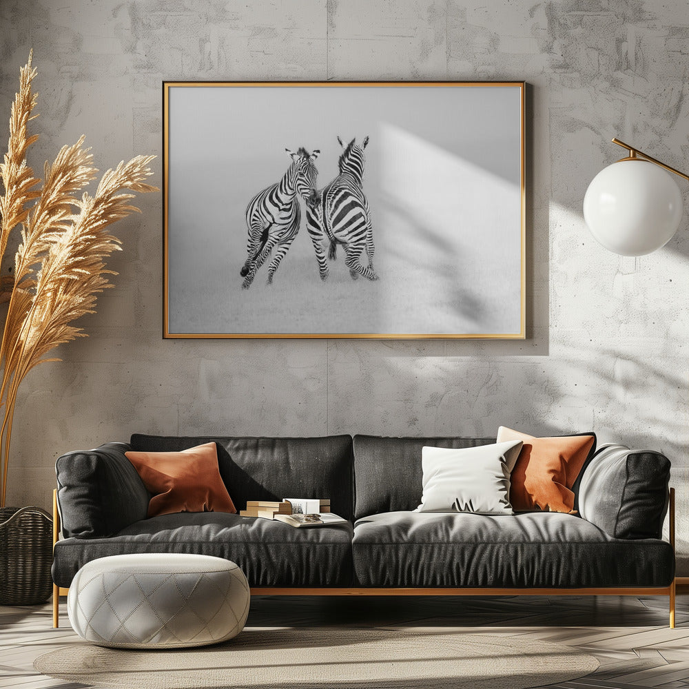 Playing or Fighting? Poster