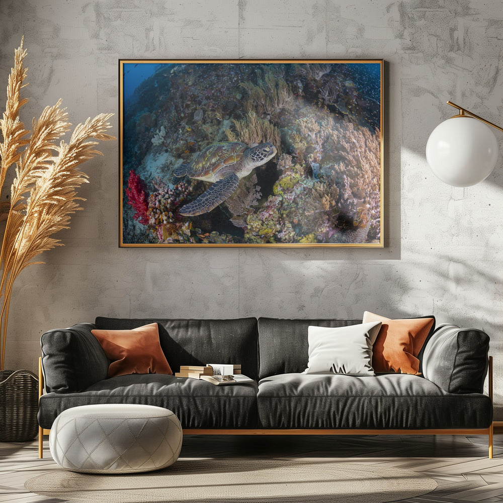 Coral garden and green turtle Poster