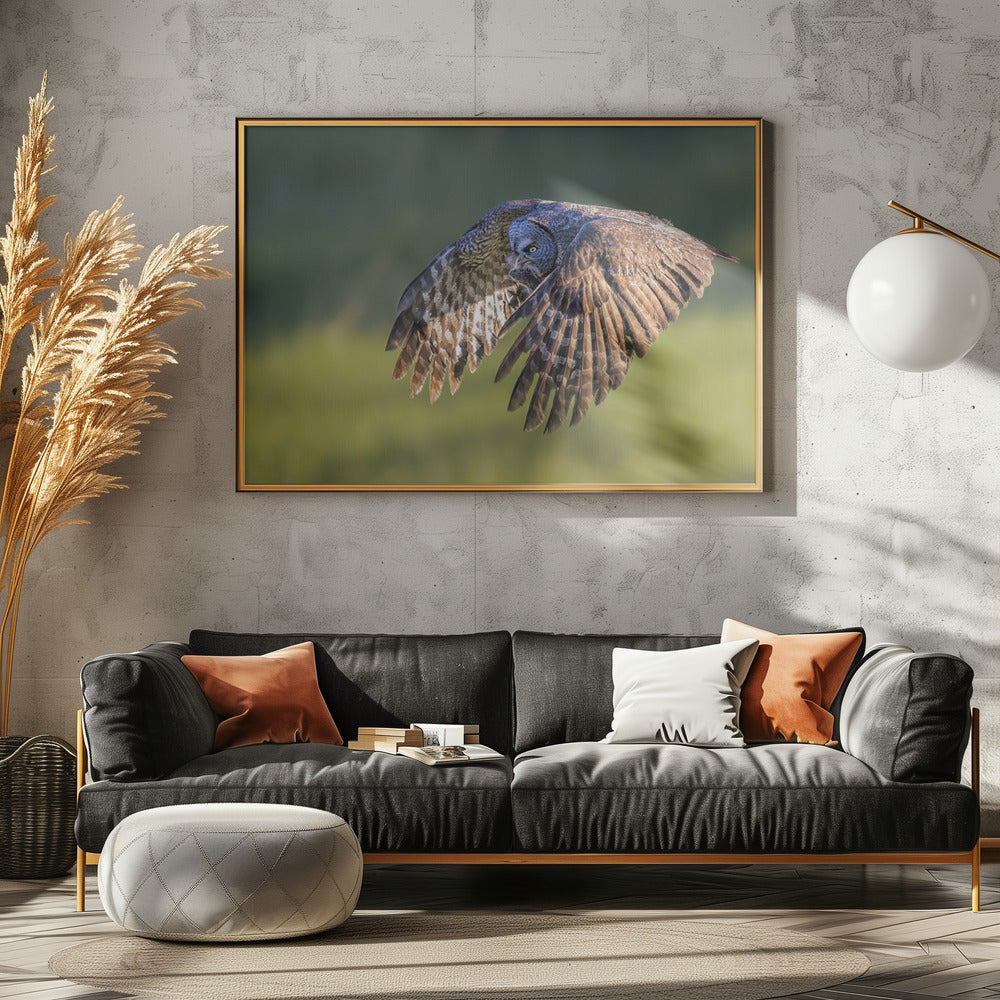Great Grey Owl Poster