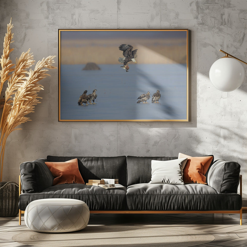 For Survival in the Winter Poster