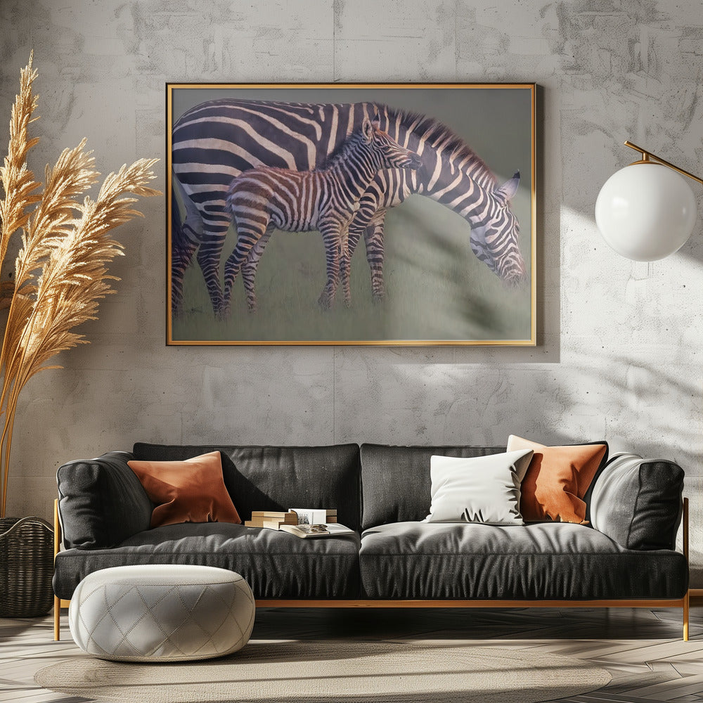 Baby Zebra Poster