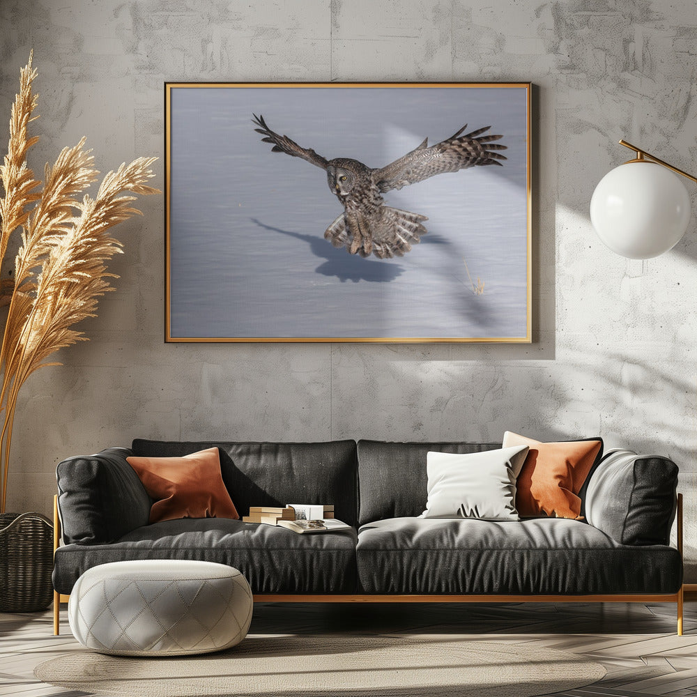 Great Grey Owl Poster