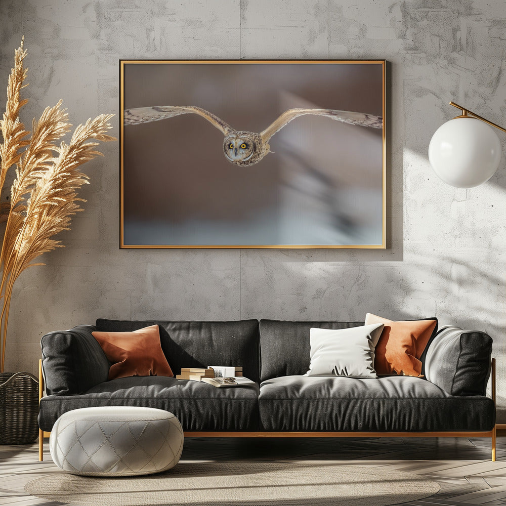 Short Ear Owl in Flight Poster