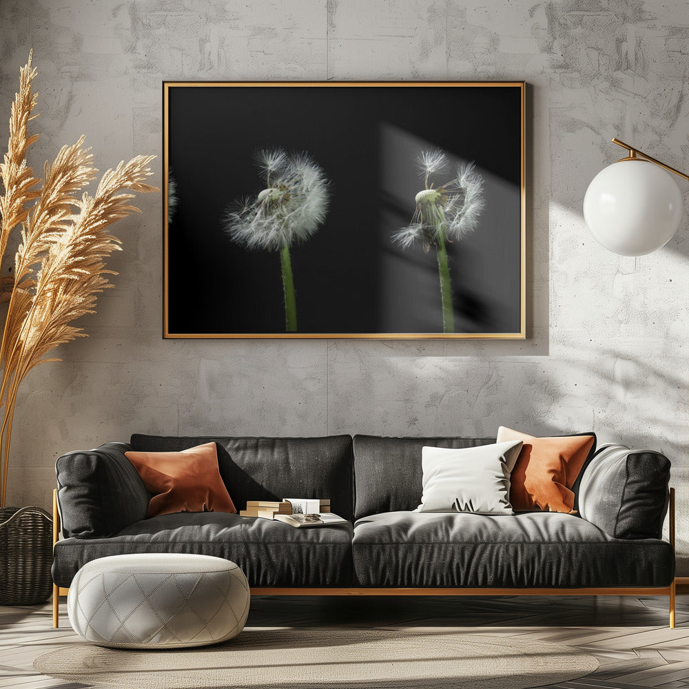 dandelion flower sequenz Poster